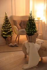 Small spruce trees decorated with Christmas lights indoors