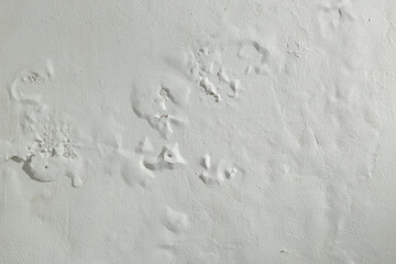 Saltpeter or mold on the wall, Closeup of wall stained with water infiltration. Potassium nitrate, which is present in the building materials comes into contact with oxygen and creates excess moisture