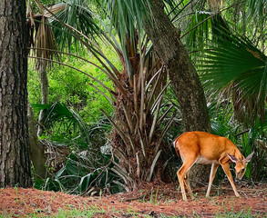 Processed with Lensa with LA1 filter