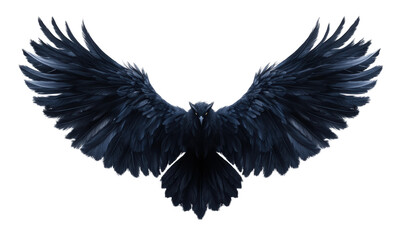 Obraz premium Black angel wings with detailed feathers, symmetrical design, fantasy art, spiritual symbolism, and mystical dark theme for creative illustration isolated on transparent background