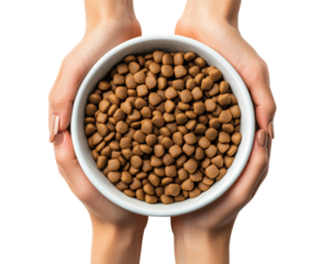 Hands holding white bowl full of dry pet food, healthy brown kibble for dogs or cats, animal nutrition isolated on transparent background