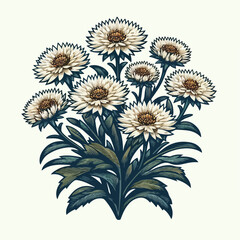 flower on white background