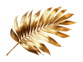 Golden palm leaf with detailed shiny texture, luxurious decorative botanical element, tropical nature art, metallic design, and elegant gold foliage isolated on transparent background