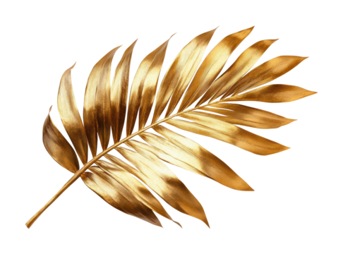 Golden palm leaf with detailed shiny texture, luxurious decorative botanical element, tropical nature art, metallic design, and elegant gold foliage isolated on transparent background