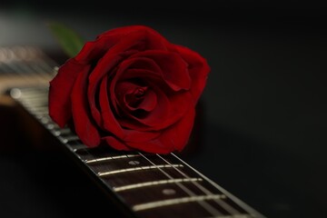 Beautiful rose and electric guitar on black background, closeup. Space for text