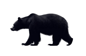Walking black bear silhouette with detailed fur texture, wilderness animal profile, wildlife vector design illustration isolated on transparent background