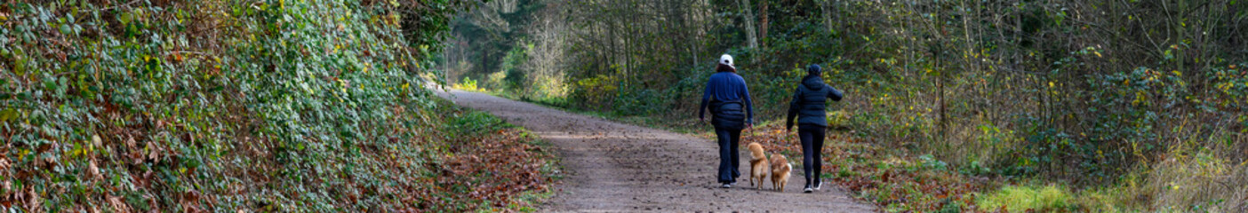 Two women with happy dogs walking on a wide gravel trail, Cross Kirkland Corridor, outside on a sunny winter day, healthy lifestyle choice for exercise and recreation
