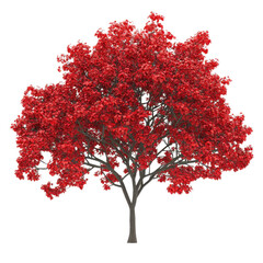 Vibrant Red Tree Isolated on Black Background: A Stunning 3D Render of Autumnal Foliage