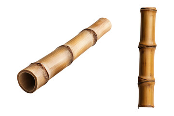 Fototapeta premium A long, cylindrical bamboo segment showcasing its natural texture and joints.
