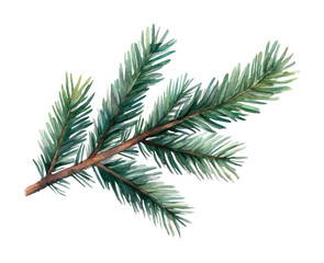 Obraz premium Watercolor evergreen fir tree branch with lush green needles, perfect for botanical art, Christmas themes, or seasonal designs isolated on transparent background.