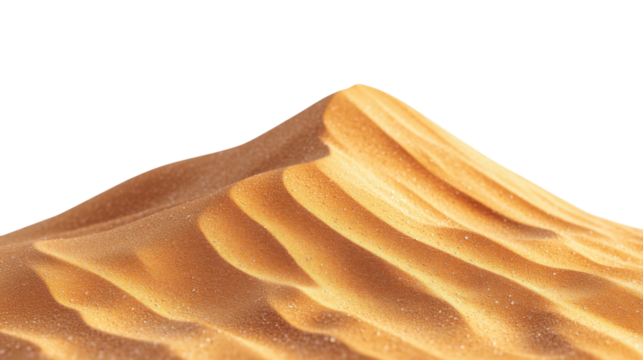 Close-up view of golden sand dune textures, smooth ridges, and soft waves in a minimalist natural landscape, isolated on white background