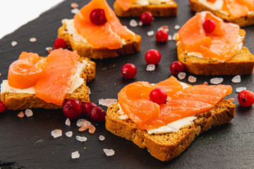 Toasts with butter salmon and cranberries on a stone board on a white background