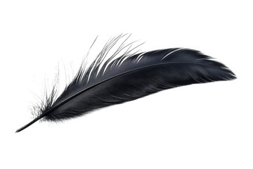 a single black feather isolated on a transparent background the feather has a delicate. intricate structure and a soft. velvety texture it is a symbol of writing. creativity. and the beauty of nature