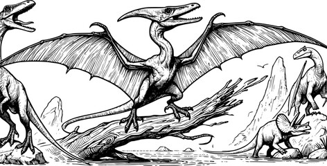Pteranodon vector art © Koko