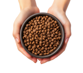 Hands holding dark bowl filled with dry dog or cat food, nutritious brown kibble for pets, animal care and health isolated on transparent background