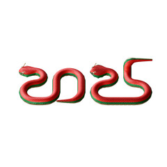 Chinese New Year Of Snake 3D Design Element Isometric View