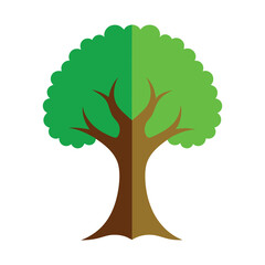 tree with roots illustration