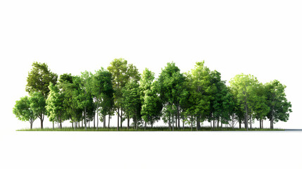 Treeline isolated on white background. horizontal panorama from green trees. 3d realistic illustration. Treeline. Illustration
