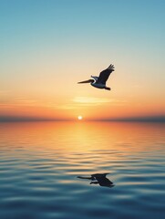 Fototapeta premium Pelican Soaring Over Calm Sunset Ocean Waters