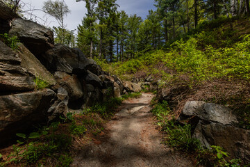 close up of a hiking path looking up in a forest with big rocks and green foliage