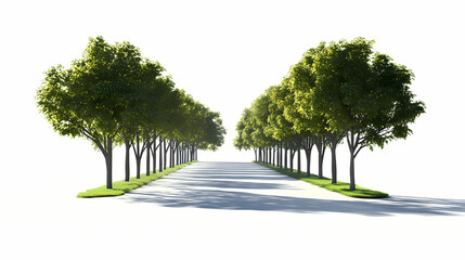 Obraz premium A treelined boulevard with shadows cast by the sun, elegant and peaceful, isolated on white background. Treeline. Illustration