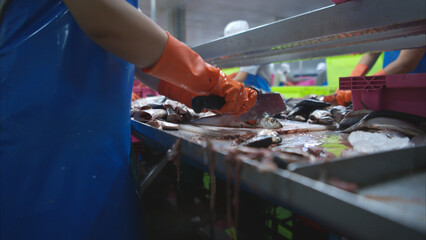 Process and production line in canned fish factory