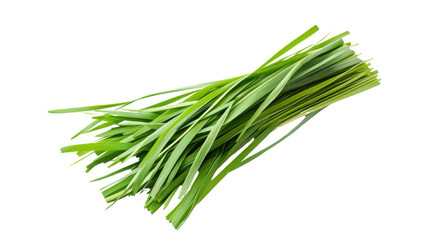 Fresh green grass, transparent background