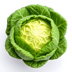 Obraz premium green cabbage on transparent background. png file