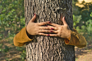 Female hands hugging a sturdy tree trunk, symbolizing a connection with nature and care for the environment. The painted nails and ring add a human touch, while the blurred green background. 