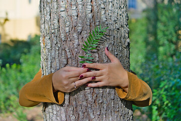 Female hands holding a fern leaf against a tree trunk, merging elements of living nature and...