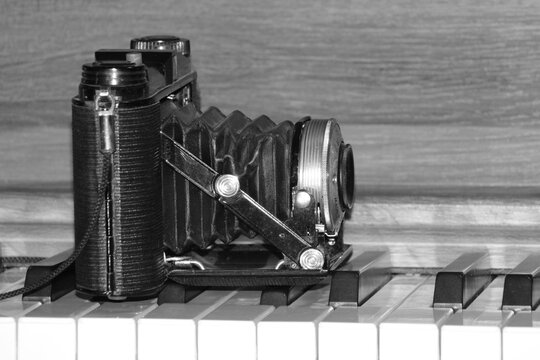 old black and whites - Powered by Adobe