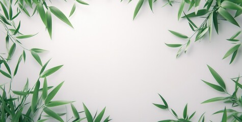 Naklejka premium Lush green bamboo leaves frame a white background, creating a natural border.