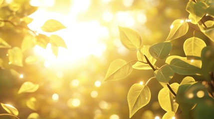 Obraz premium Sunlit green leaves backlit by bright sunshine, bokeh effect.