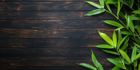 Obraz premium Lush green bamboo leaves on dark wooden background. (1)