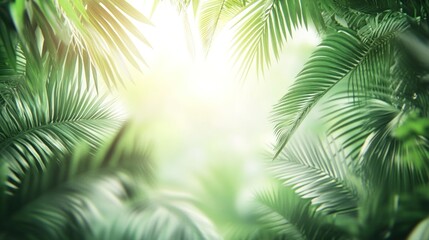 Obraz premium Lush green palm leaves frame a bright, sunlit background.