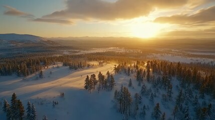 Obraz premium Aerial view of a snow-covered forest at sunset, with golden light illuminating the landscape and mountains in the distance.