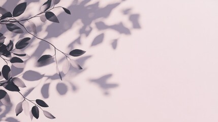 Plant leaves and shadows cast on a pale pink background.