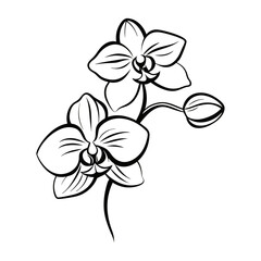 Black silhouette outline style orchid flower design for coloring book page for children