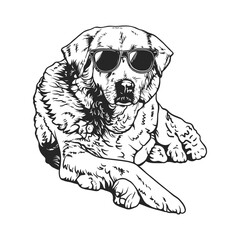 Relaxed Dog with Sunglasses Line Art