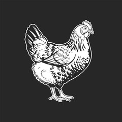 Realistic Chicken Artwork in Monochrome