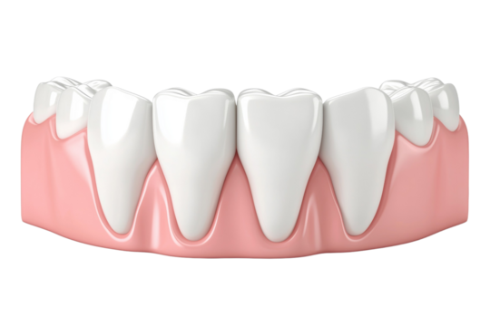 A close up of a person's teeth with the gums showing