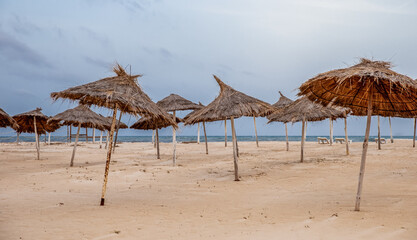 view of round shape umbrellas on a white sand beach next to the sea on a sunny day