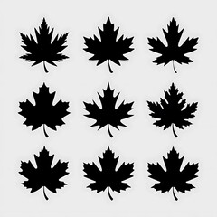 A collection of ten Maple Leaf Silhouettes - Iconic shapes of maple leaves in various styles.. with white background