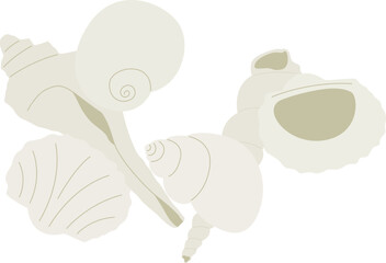 Illustration of Seashells
