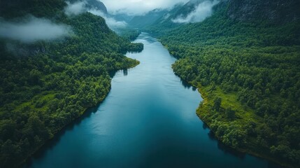Obraz premium Serene river flows through lush, misty valley.