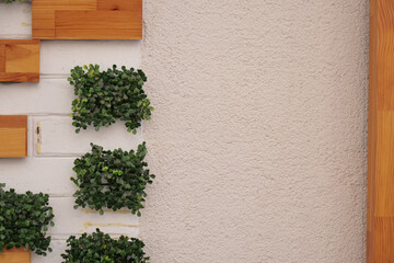 Modern Wall Dcor with Greenery and Textured Background