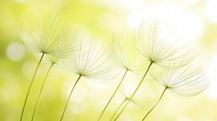 Macro view of a dandelion seed head with delicate seeds poised to be carried by the wind, symbolizing change, hope, and transformation with soft blurred background and space for text