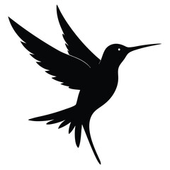 Obraz premium The Hummingbird within Calm Graphic Modernism.EPS