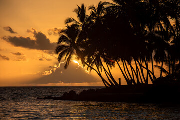Tropical Sunset Silhouette