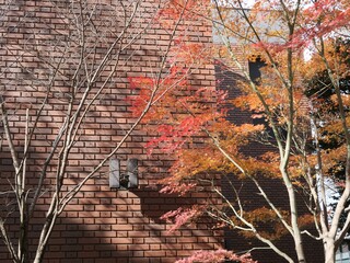 建物と紅葉

